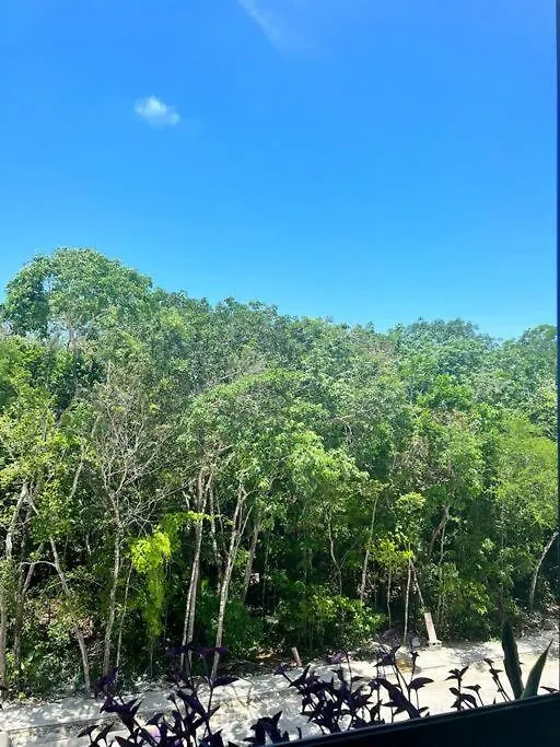 Perfect Zama Loft, Pool&Gym, Barbecue Area Apartment Tulum